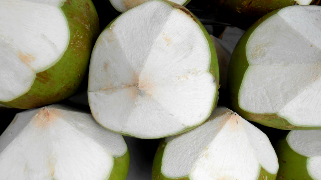 young coconut background